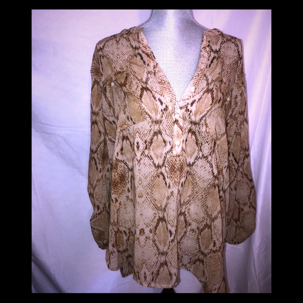 Sheer V-neck Cream, Tan, Brown Blouse